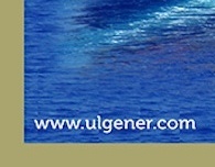 Ulgener Web Site